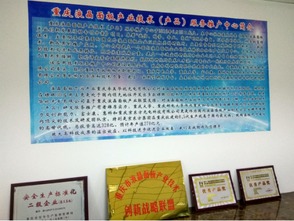 重庆液晶面板产业技术推广中心成立，助力技术与产品服务升级